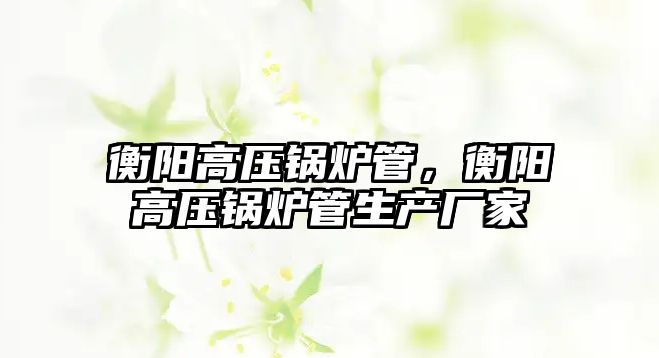 衡陽高壓鍋爐管，衡陽高壓鍋爐管生產(chǎn)廠家