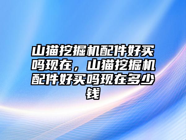 山貓挖掘機(jī)配件好買嗎現(xiàn)在，山貓挖掘機(jī)配件好買嗎現(xiàn)在多少錢