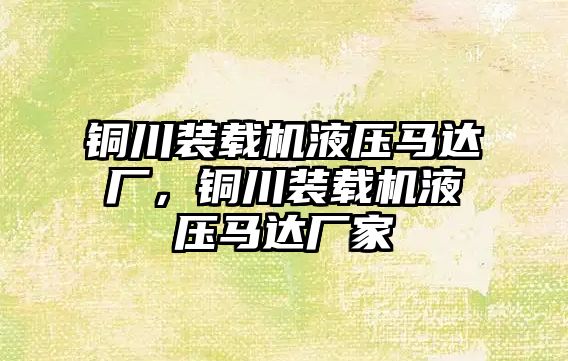 銅川裝載機液壓馬達廠，銅川裝載機液壓馬達廠家