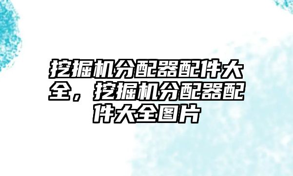 挖掘機(jī)分配器配件大全，挖掘機(jī)分配器配件大全圖片