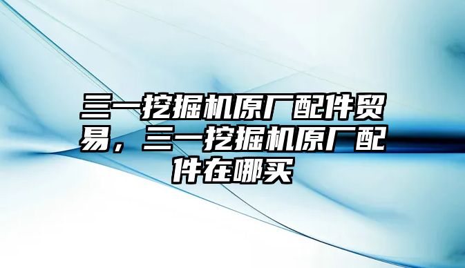 三一挖掘機原廠配件貿(mào)易，三一挖掘機原廠配件在哪買