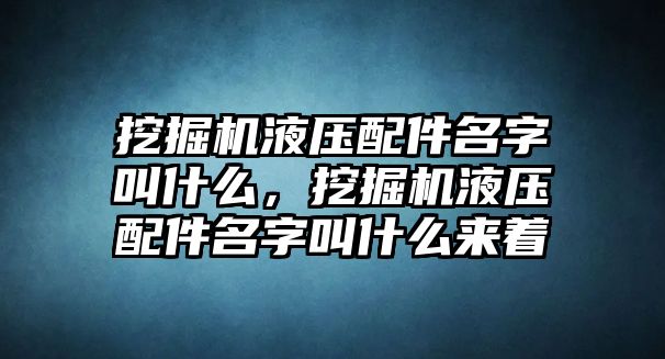 挖掘機(jī)液壓配件名字叫什么，挖掘機(jī)液壓配件名字叫什么來著