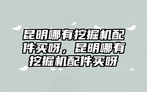 昆明哪有挖掘機(jī)配件買(mǎi)呀，昆明哪有挖掘機(jī)配件買(mǎi)呀