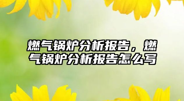 燃?xì)忮仩t分析報告，燃?xì)忮仩t分析報告怎么寫