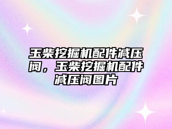 玉柴挖掘機配件減壓閥，玉柴挖掘機配件減壓閥圖片