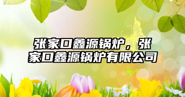 張家口鑫源鍋爐，張家口鑫源鍋爐有限公司