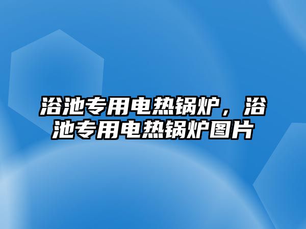 浴池專用電熱鍋爐，浴池專用電熱鍋爐圖片