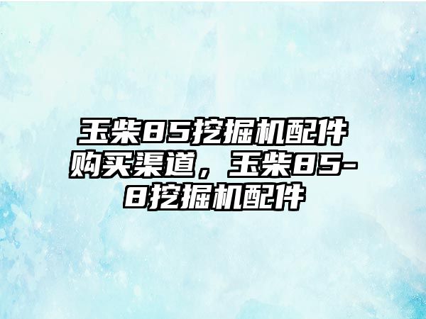 玉柴85挖掘機(jī)配件購買渠道，玉柴85-8挖掘機(jī)配件