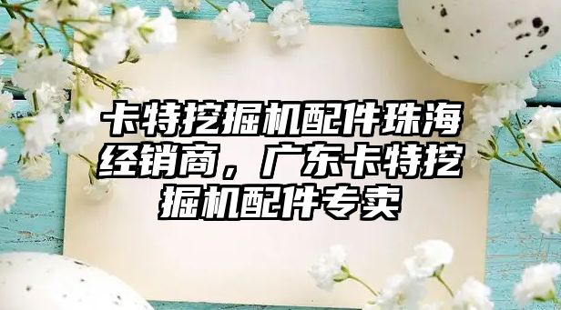 卡特挖掘機配件珠海經(jīng)銷商，廣東卡特挖掘機配件專賣