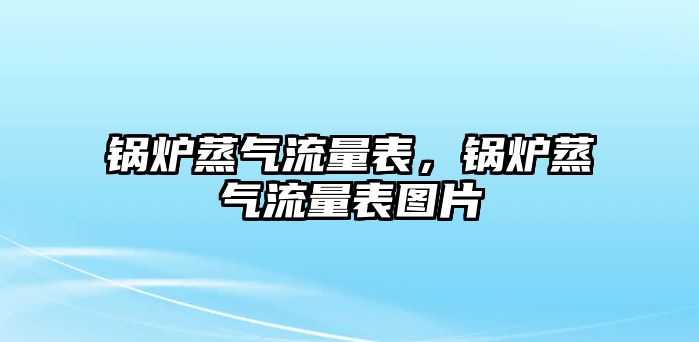 鍋爐蒸氣流量表，鍋爐蒸氣流量表圖片