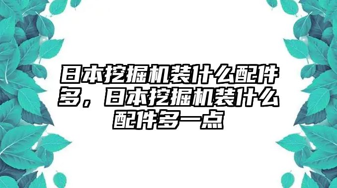 日本挖掘機裝什么配件多，日本挖掘機裝什么配件多一點