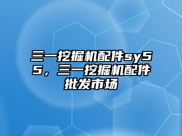 三一挖掘機(jī)配件sy55，三一挖掘機(jī)配件批發(fā)市場(chǎng)