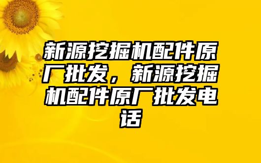 新源挖掘機配件原廠批發(fā)，新源挖掘機配件原廠批發(fā)電話