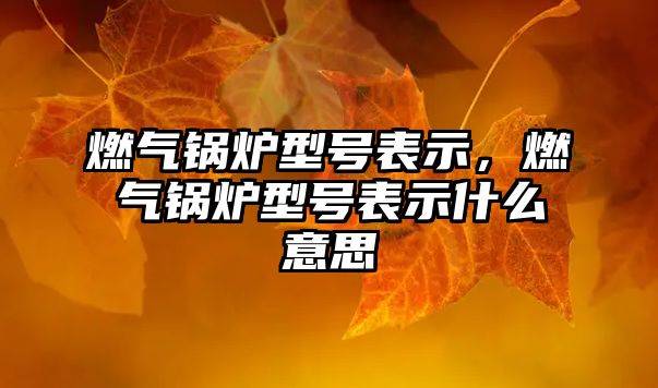 燃?xì)忮仩t型號(hào)表示，燃?xì)忮仩t型號(hào)表示什么意思