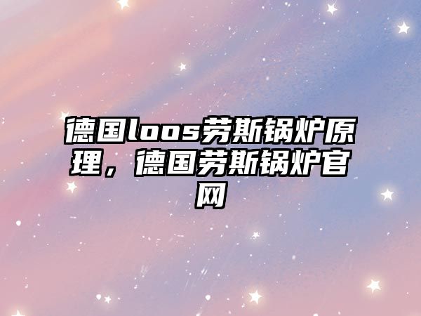 德國loos勞斯鍋爐原理，德國勞斯鍋爐官網(wǎng)