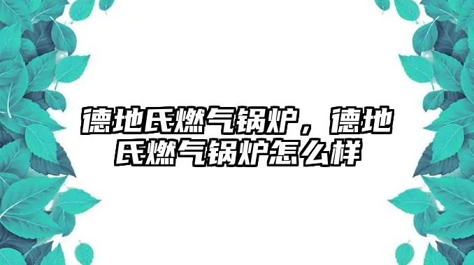 德地氏燃氣鍋爐，德地氏燃氣鍋爐怎么樣