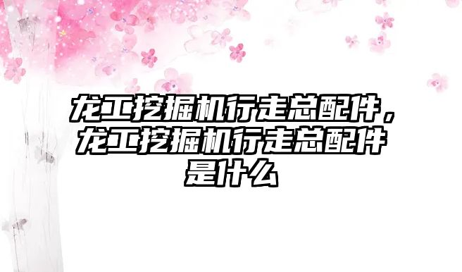 龍工挖掘機(jī)行走總配件，龍工挖掘機(jī)行走總配件是什么