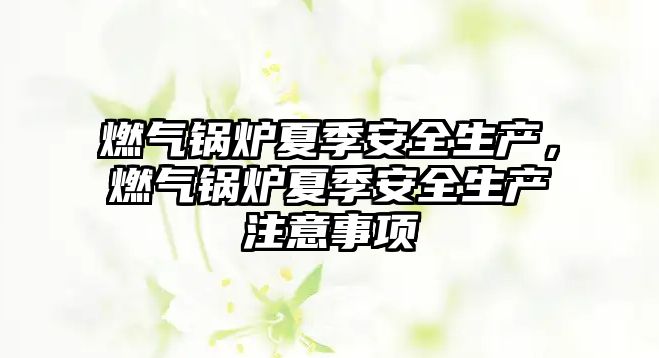 燃?xì)忮仩t夏季安全生產(chǎn)，燃?xì)忮仩t夏季安全生產(chǎn)注意事項(xiàng)