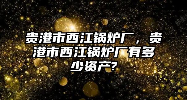 貴港市西江鍋爐廠，貴港市西江鍋爐廠有多少資產(chǎn)?