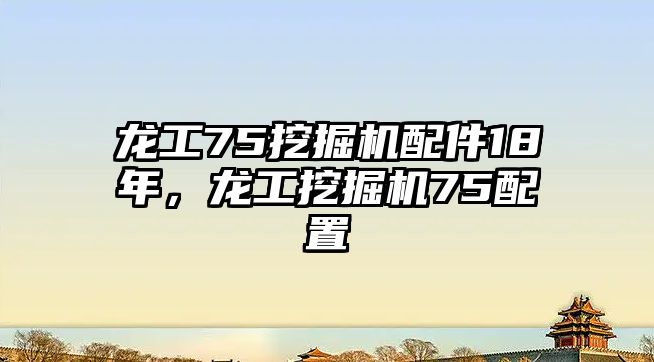 龍工75挖掘機配件18年，龍工挖掘機75配置