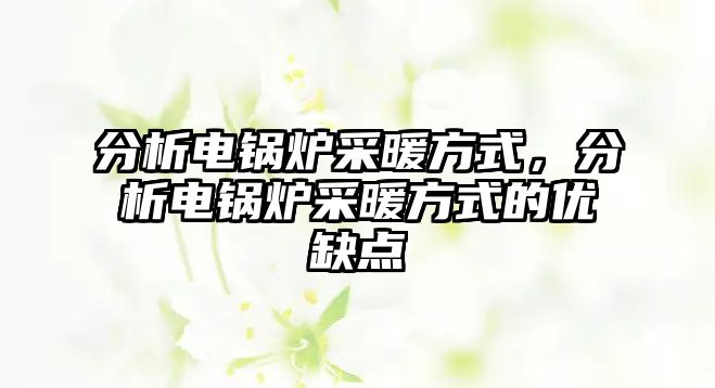 分析電鍋爐采暖方式，分析電鍋爐采暖方式的優(yōu)缺點(diǎn)