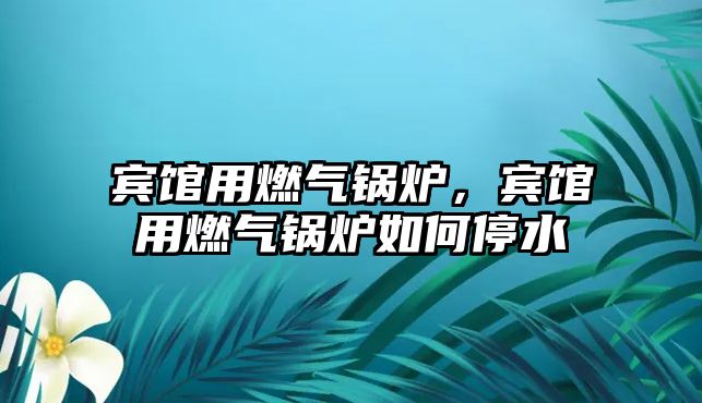 賓館用燃?xì)忮仩t，賓館用燃?xì)忮仩t如何停水