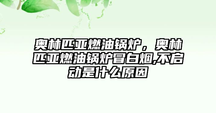 奧林匹亞燃油鍋爐，奧林匹亞燃油鍋爐冒白煙,不啟動(dòng)是什么原因