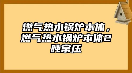 燃氣熱水鍋爐本體，燃氣熱水鍋爐本體2噸常壓