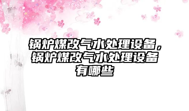 鍋爐煤改氣水處理設備，鍋爐煤改氣水處理設備有哪些