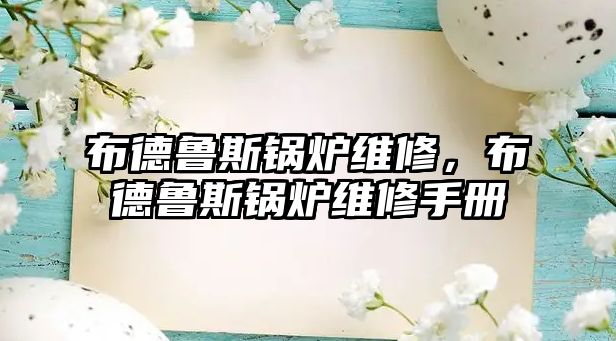 布德魯斯鍋爐維修，布德魯斯鍋爐維修手冊