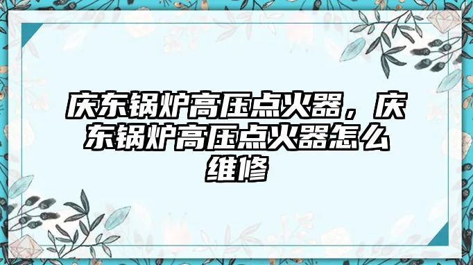 慶東鍋爐高壓點火器，慶東鍋爐高壓點火器怎么維修