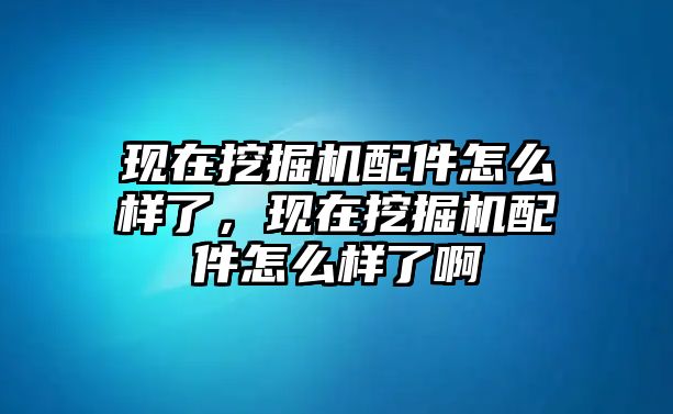 現(xiàn)在挖掘機(jī)配件怎么樣了，現(xiàn)在挖掘機(jī)配件怎么樣了啊