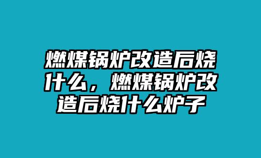 燃煤鍋爐改造后燒什么，燃煤鍋爐改造后燒什么爐子