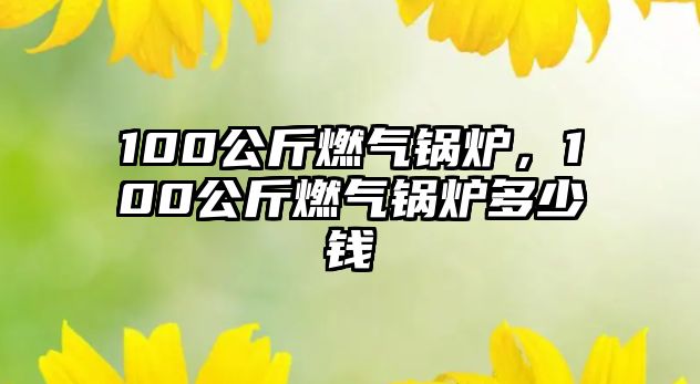 100公斤燃?xì)忮仩t，100公斤燃?xì)忮仩t多少錢