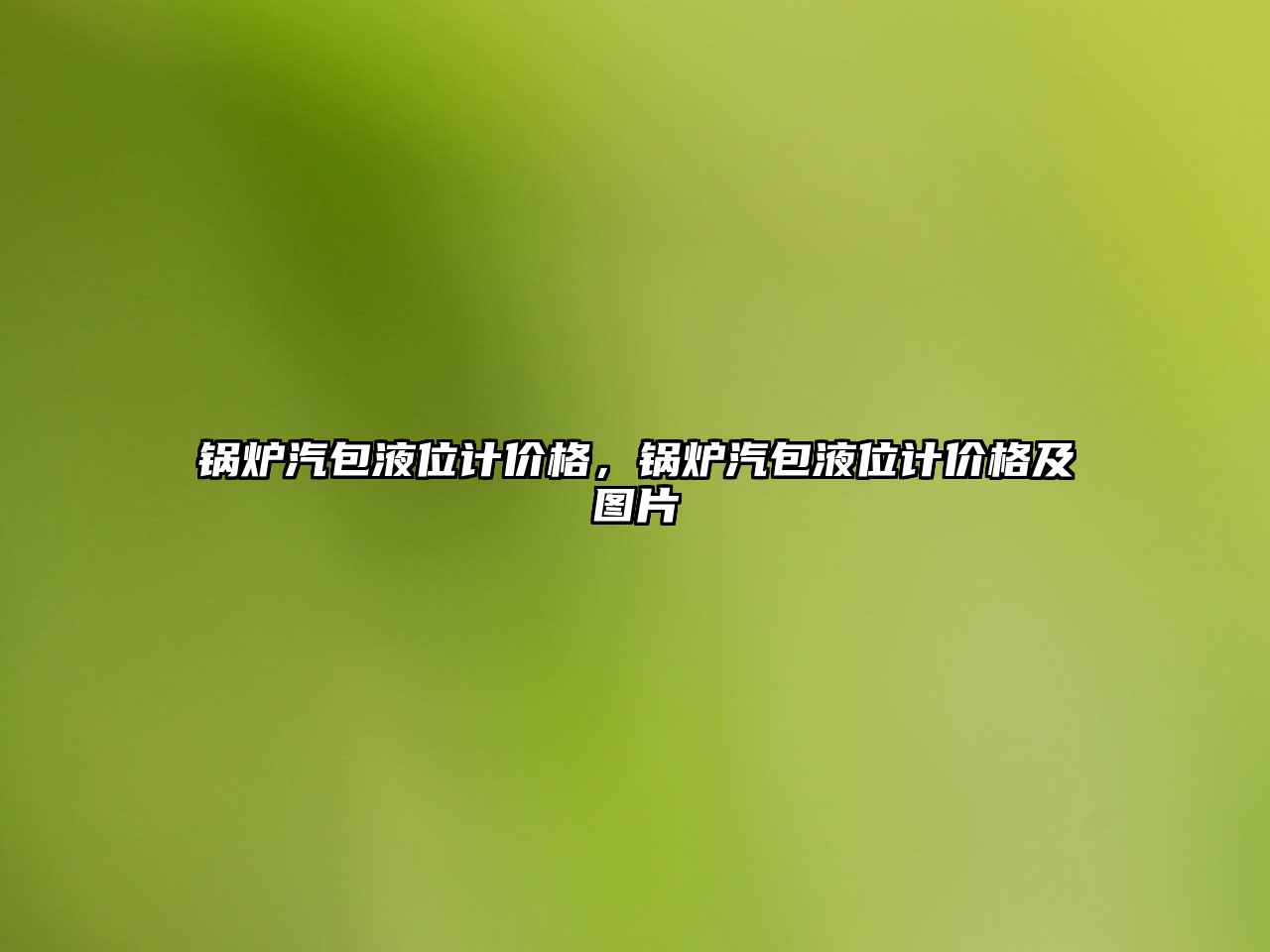 鍋爐汽包液位計價格，鍋爐汽包液位計價格及圖片