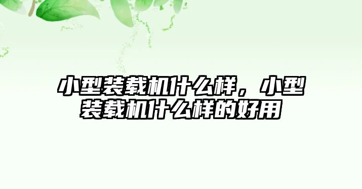 小型裝載機什么樣，小型裝載機什么樣的好用