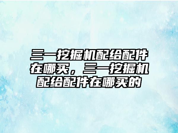 三一挖掘機配給配件在哪買，三一挖掘機配給配件在哪買的