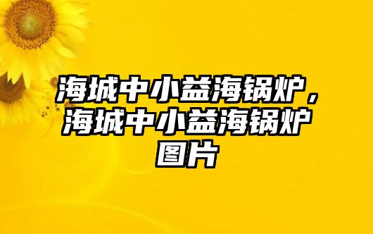 海城中小益海鍋爐，海城中小益海鍋爐圖片