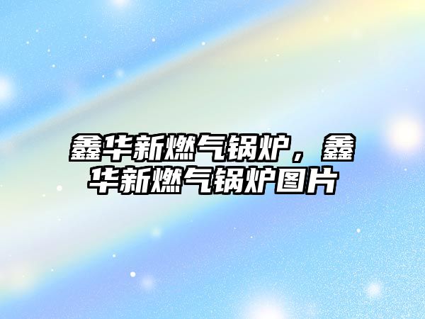 鑫華新燃?xì)忮仩t，鑫華新燃?xì)忮仩t圖片