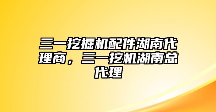 三一挖掘機配件湖南代理商，三一挖機湖南總代理