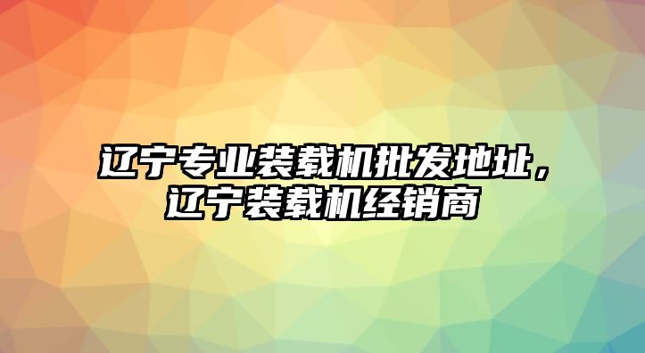 遼寧專業(yè)裝載機(jī)批發(fā)地址，遼寧裝載機(jī)經(jīng)銷商