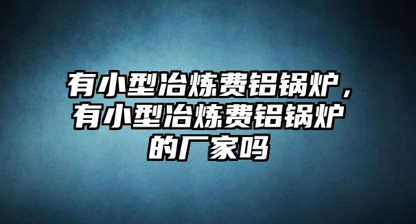 有小型冶煉費鋁鍋爐，有小型冶煉費鋁鍋爐的廠家嗎