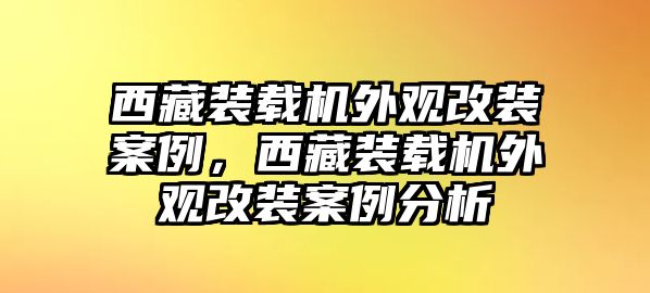 西藏裝載機外觀改裝案例，西藏裝載機外觀改裝案例分析