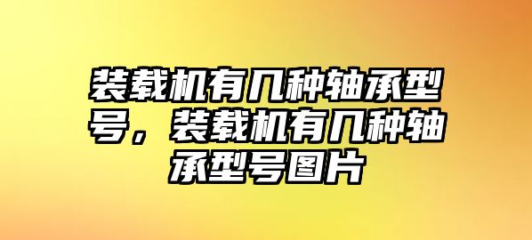 裝載機(jī)有幾種軸承型號，裝載機(jī)有幾種軸承型號圖片