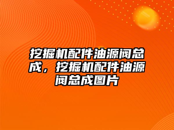 挖掘機配件油源閥總成，挖掘機配件油源閥總成圖片