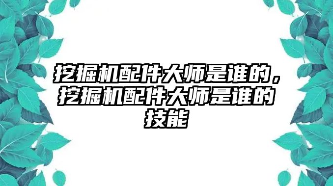 挖掘機(jī)配件大師是誰(shuí)的，挖掘機(jī)配件大師是誰(shuí)的技能