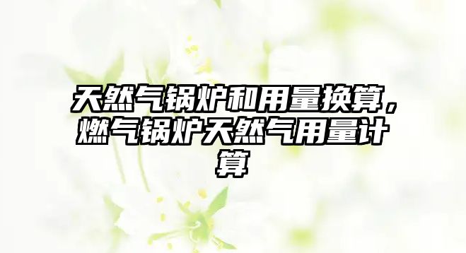 天然氣鍋爐和用量換算，燃?xì)忮仩t天然氣用量計(jì)算