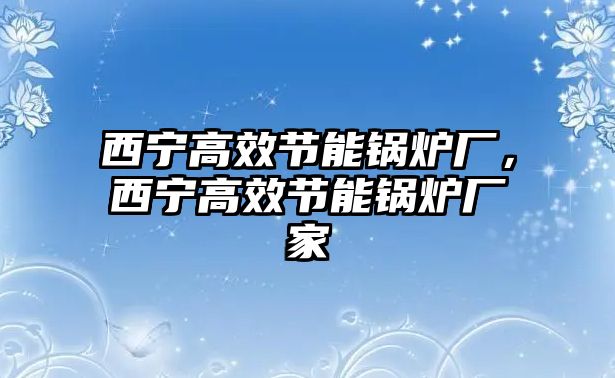 西寧高效節(jié)能鍋爐廠，西寧高效節(jié)能鍋爐廠家