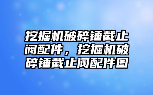 挖掘機破碎錘截止閥配件，挖掘機破碎錘截止閥配件圖