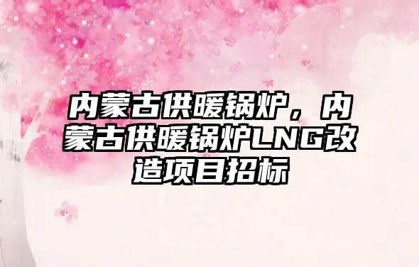 內蒙古供暖鍋爐，內蒙古供暖鍋爐LNG改造項目招標